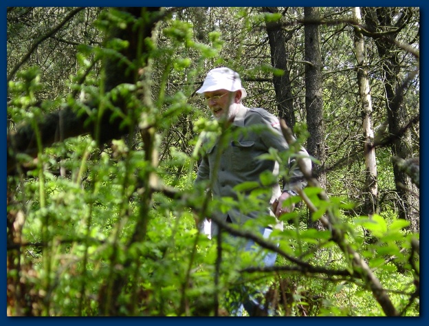 600x449 pixels (175K)